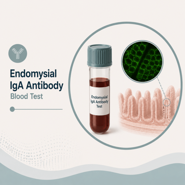 Endomysial IgA Antibody Test