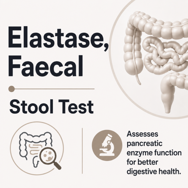 Elastase, Faecal - Stool