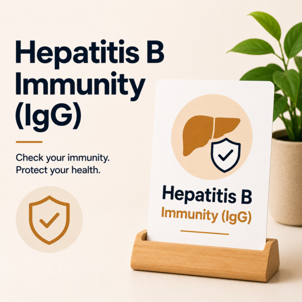 Hepatitis B Immunity (IgG)