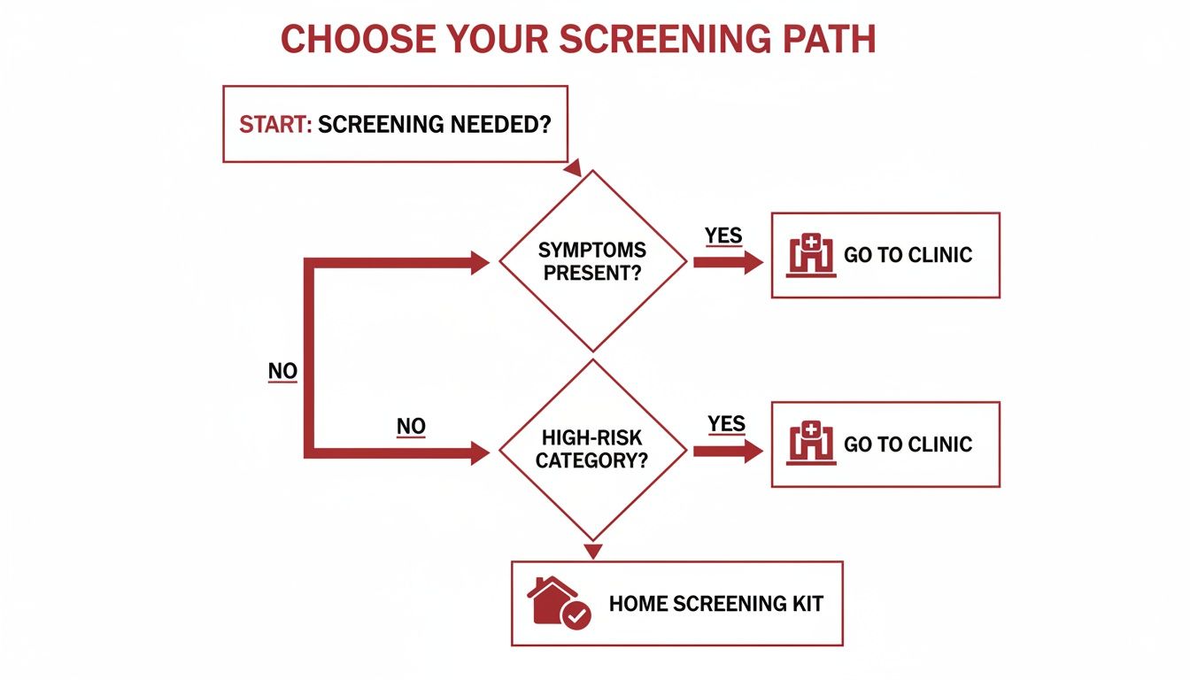 A flowchart guiding users to choose a screening path based on symptoms, risk category, or home kit.