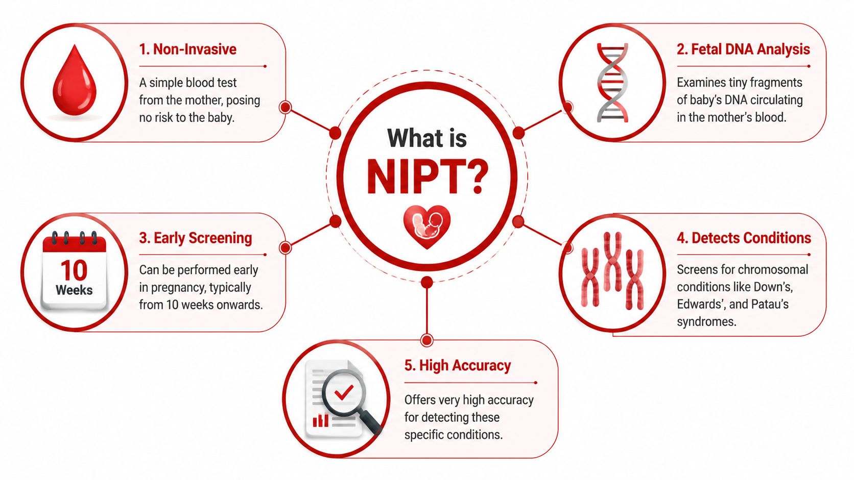 An infographic explaining what a Non-Invasive Prenatal Test (NIPT) is, featuring five key facts about the procedure.