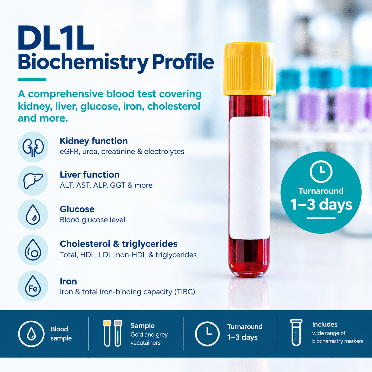 Biochemistry Profile Blood Test (DL1L)