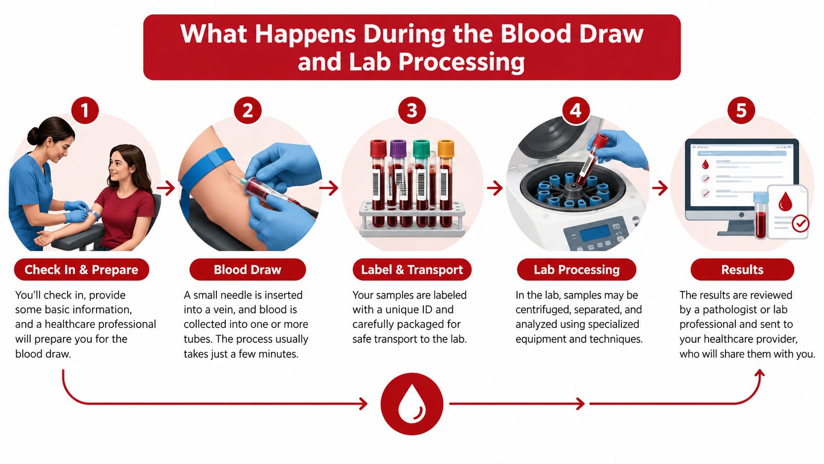 A five-step infographic showing the process of a blood draw, from check-in to receiving lab results.