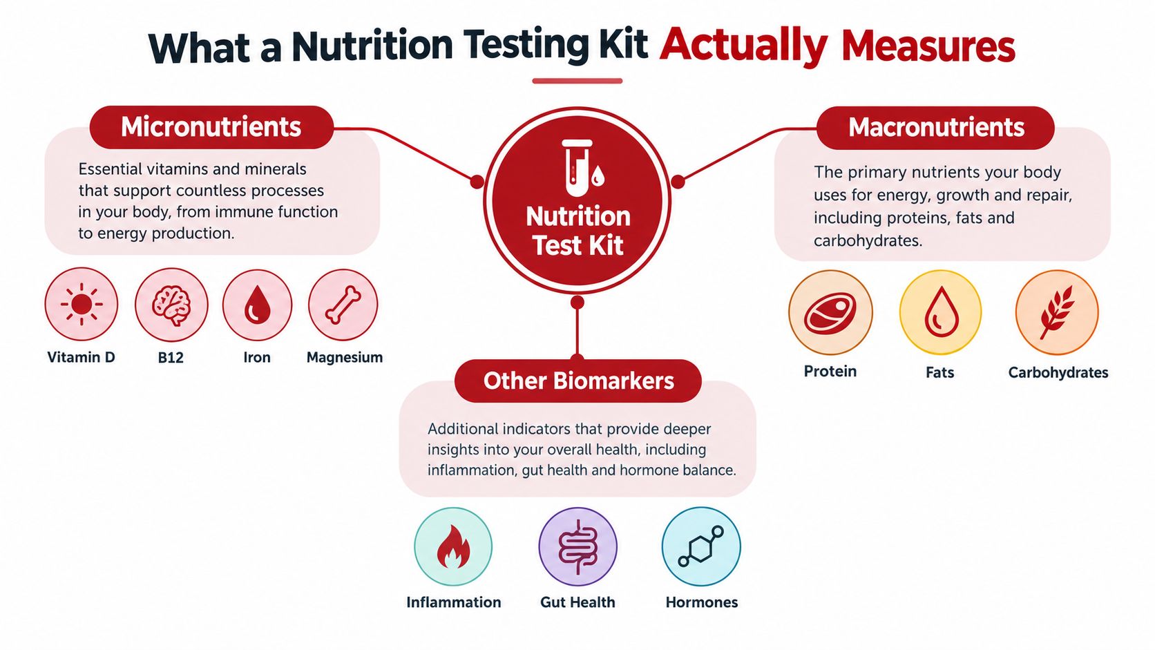 An infographic titled What a Nutrition Testing Kit Actually Measures, displaying micronutrients, macronutrients, and other health biomarkers.
