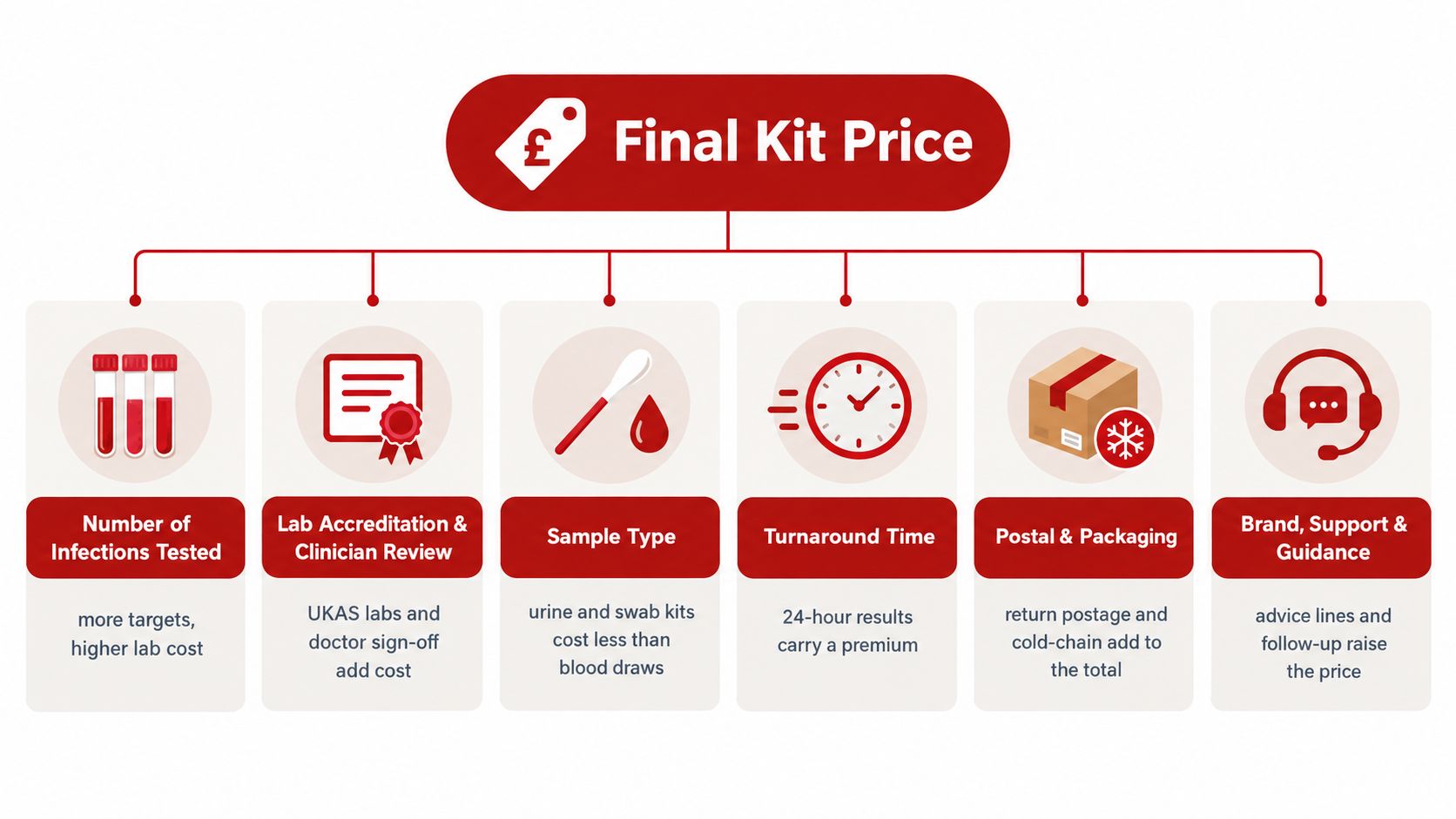 A diagram illustrating the six key factors influencing the total cost of a medical STI test kit.
