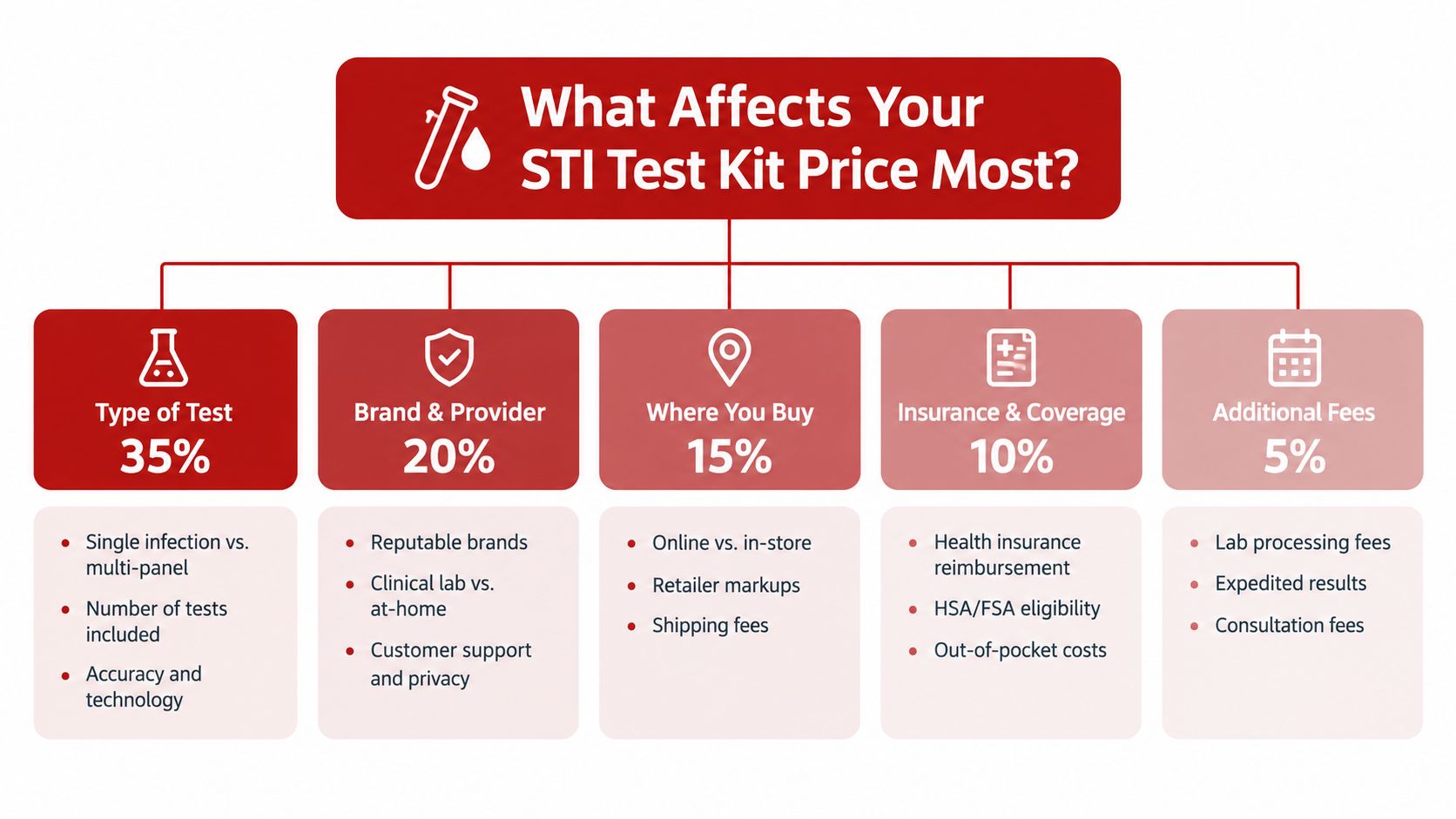 An infographic displaying five key factors that influence the total cost of at-home STI test kits.